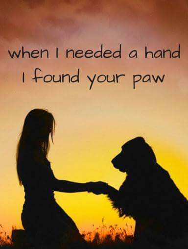Ifoundyourpaw